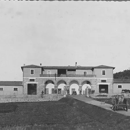 Grazia Orbetello