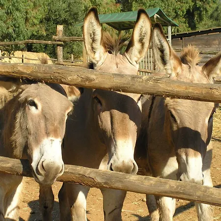Casa di campagna Grazia Ansedónia