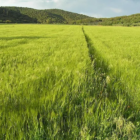 Casa di campagna Grazia *