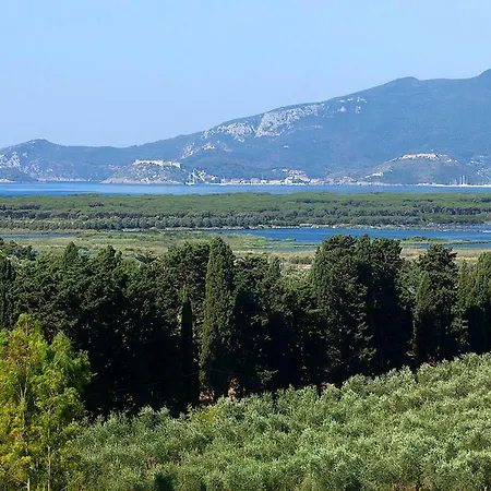 Grazia Ansedónia